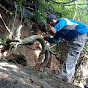 Bonsai hunter indonesia