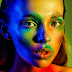 logo Diana Shender