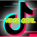 logo VIDEO GOKIL