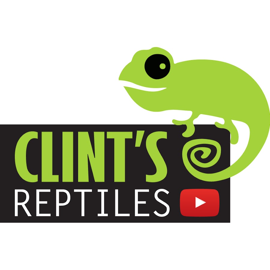 Clint's Reptiles @ClintsReptiles
