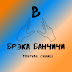 logo Брэка Банчичи