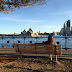 logo sat YOUR day Vlogs in Oz