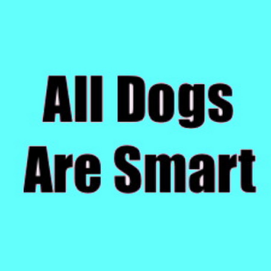 All Dogs Are Smart