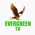 EVERGREEN TV