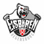 Eisbären Regensburg