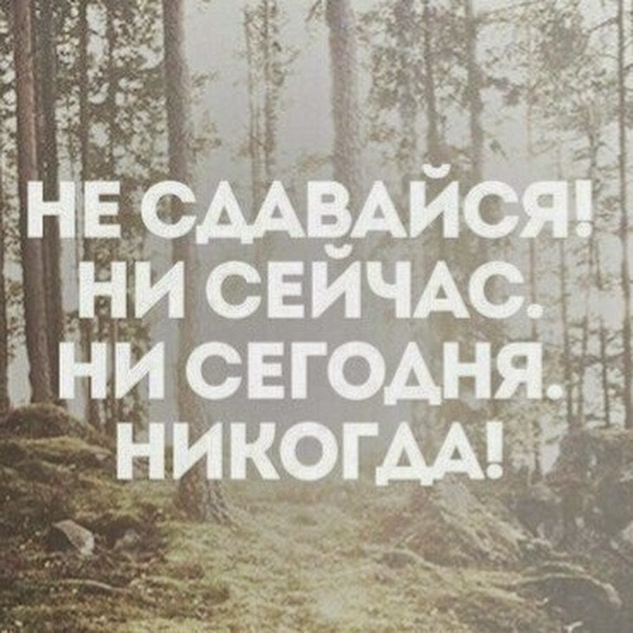 Никогда не одену. Картинки со смыслом с надписями от первого лица.