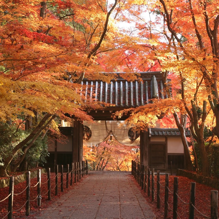 総本山光明寺 - YouTube