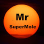 Mr SuperMole