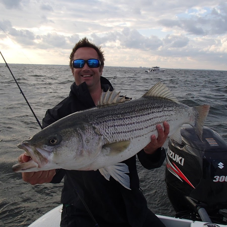 nickhonachefsky with a striper on the Savage Gear Panic Pencil Popper from  the beach #savagegearamericas #stripedbass #fishing