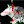 ultimatenightvision avatar