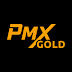 Pmx Gold Detector