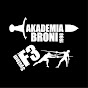 AKADEMIA BRONI