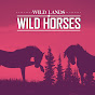 Wild Lands Wild Horses