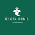 logo Excel Genie