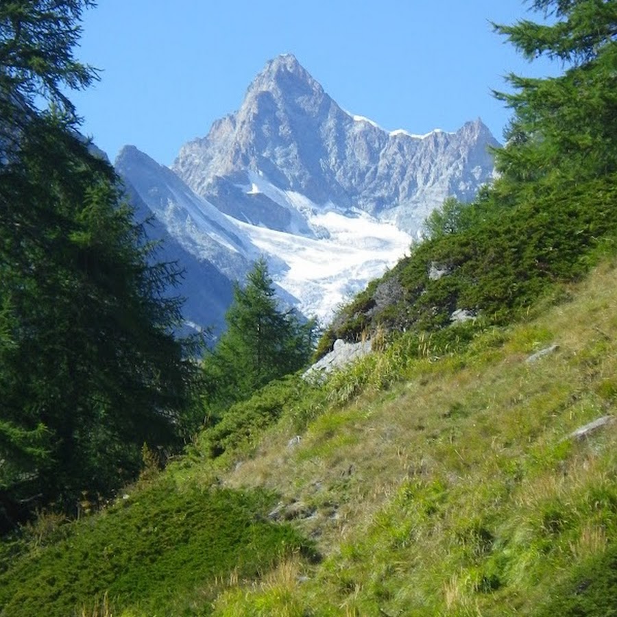 Schneeberg Wasserman