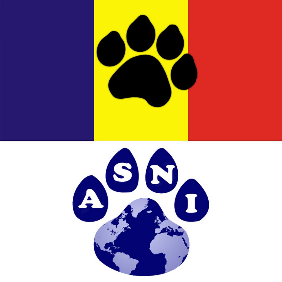 Romania Animal Rescue, Inc. 