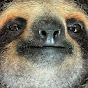 Wonderful Sloth