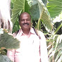 Parshuram Pendam