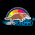 logo АвтоТОТЕММ