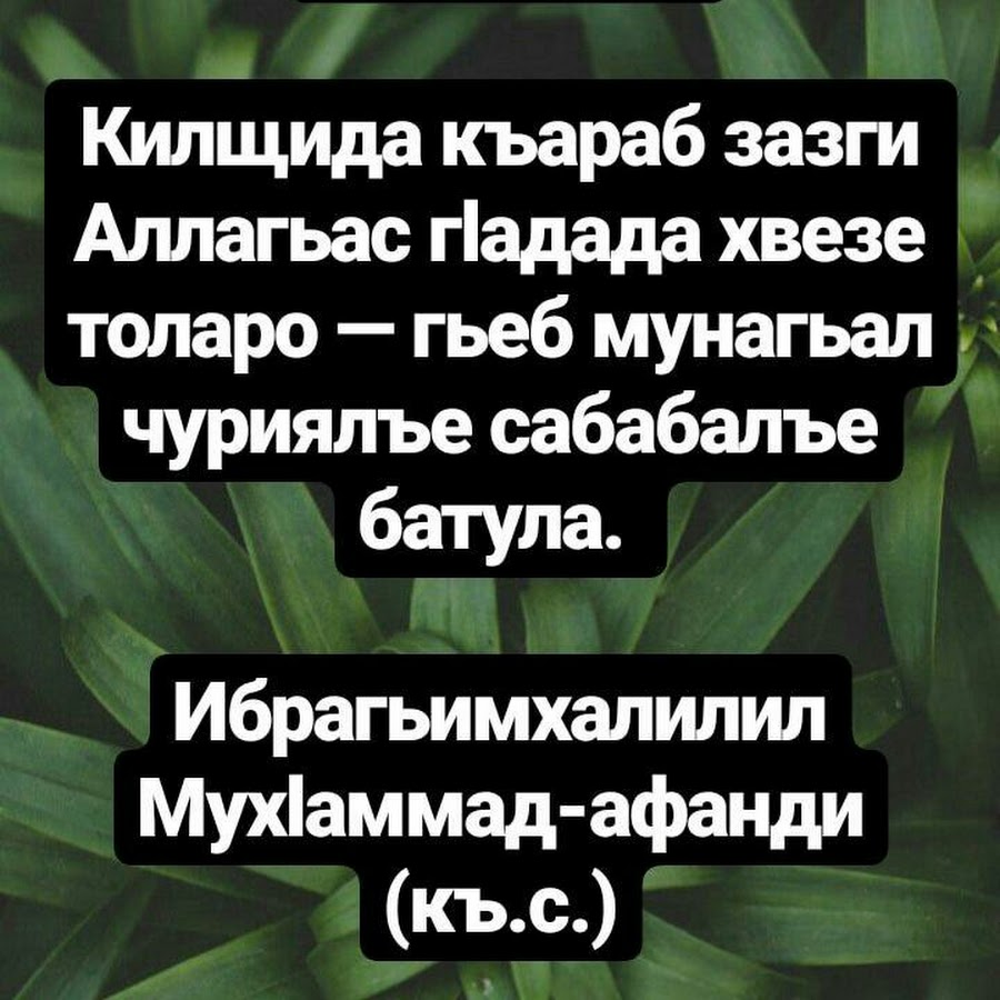 Тавбу на аварском языке. Мунагьал Чураги Аллагьас. Щукру Аллагьасе.