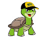 XDR TURTLE