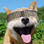 Geordi Corgione