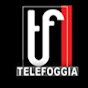 Tele Foggia