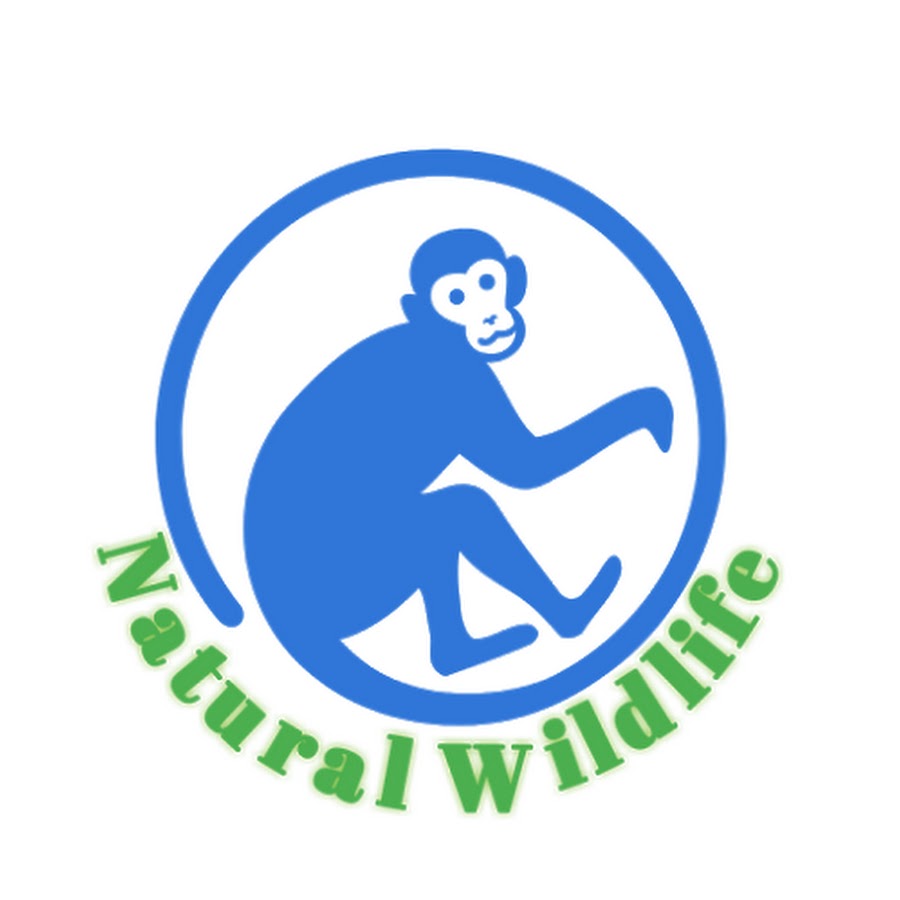 Natural Wildlife @NaturalWildlife