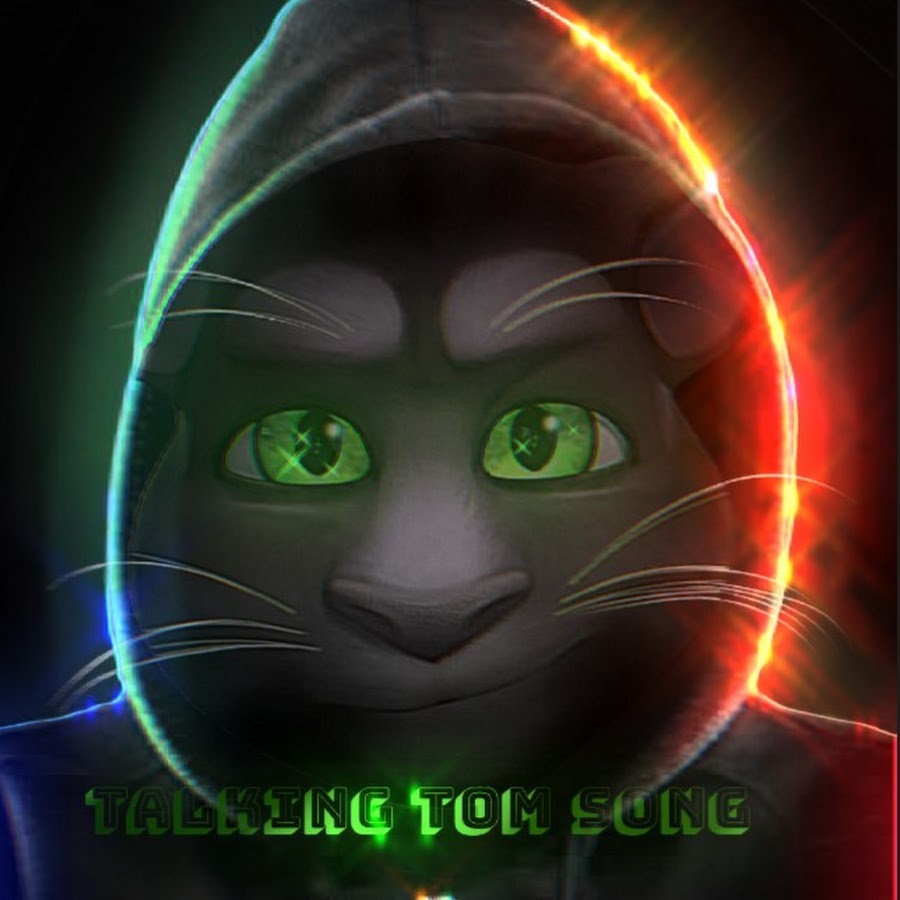 talking tom song dj