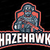 logo HaZeHawKs