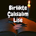 Birlikte Çalışalım Lise