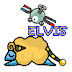 Elvis