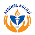 Aydınel Koleji