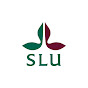 SLU utbildning