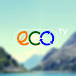 ECO HD Television