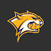 logo Tiger Tech