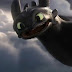 logo Toothless Lover