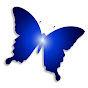 Blue Butterfly Media