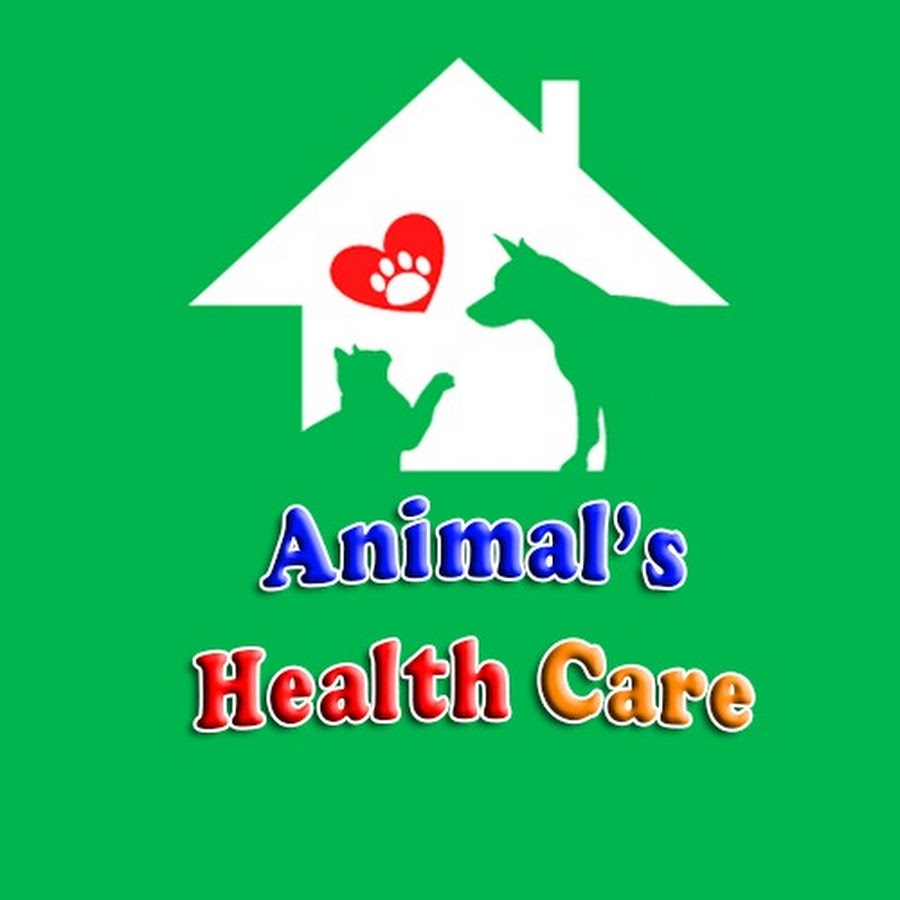 ANIMAL'S HEALTH CARE @animalshealthcare221
