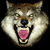 logo Steppe_Wolf