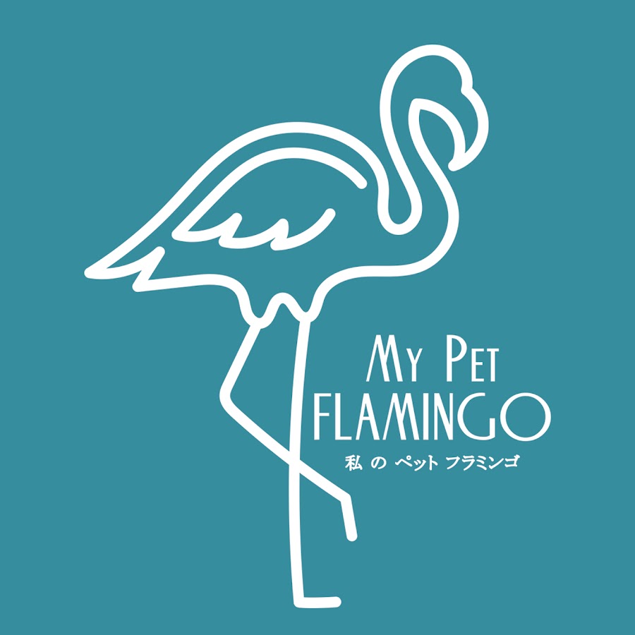 My Pet Flamingo