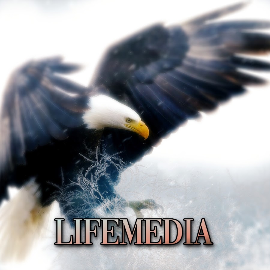 LifeMedia