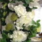 MMC Floristry