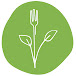 Plantes Sauvages Comestibles