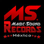 MSRECORDS MX