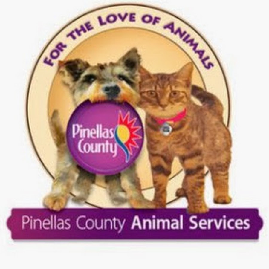 Pinellas County Animal Services