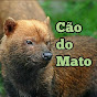 Cão do Mato Caçador