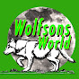 Wolfson's World