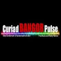 curiad bangor pulse