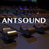 logo Ant Sound